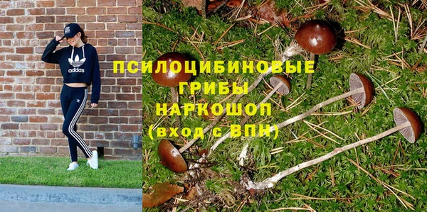 гашишное масло Белокуриха