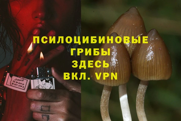 гашишное масло Белокуриха
