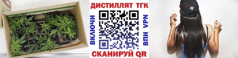 ТГК Wax  даркнет сайт  Надым 