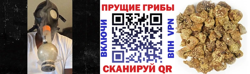 Галлюциногенные грибы GOLDEN TEACHER  МЕГА ссылки  сайты даркнета какой сайт  купить закладку  Надым 